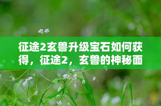 征途2玄兽升级宝石如何获得,征途2,玄兽的神秘面纱 征途2玄兽升级宝石如何获得,征途2,玄兽的神秘面纱