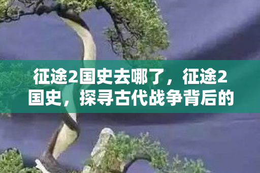 征途2国史去哪了,征途2国史,探寻古代战争背后的历史真相 征途2国史去哪了,征途2国史,探寻古代战争背后的历史真相