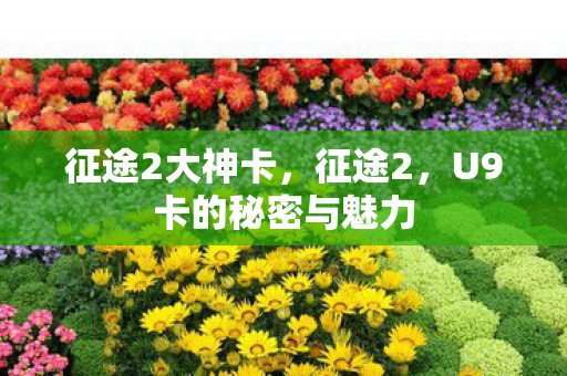 征途2大神卡,征途2,U9卡的秘密与魅力 征途2大神卡,征途2,U9卡的秘密与魅力