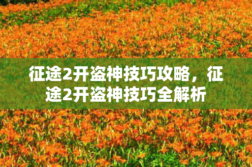 征途2开盗神技巧攻略,征途2开盗神技巧全解析 征途2开盗神技巧攻略,征途2开盗神技巧全解析