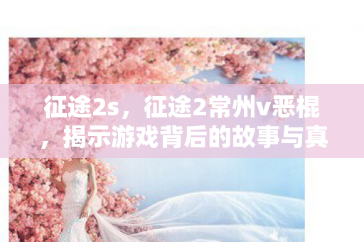 征途2s,征途2常州v恶棍,揭示游戏背后的故事与真相 征途2s,征途2常州v恶棍,揭示游戏背后的故事与真相