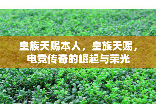 皇族天赐本人,皇族天赐,电竞传奇的崛起与荣光 皇族天赐本人,皇族天赐,电竞传奇的崛起与荣光
