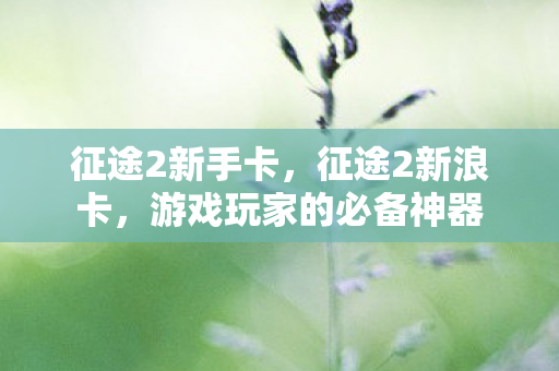 征途2新手卡,征途2新浪卡,游戏玩家的必备神器 征途2新手卡,征途2新浪卡,游戏玩家的必备神器