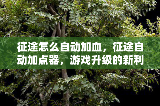 征途怎么自动加血,征途自动加点器,游戏升级的新利器 征途怎么自动加血,征途自动加点器,游戏升级的新利器
