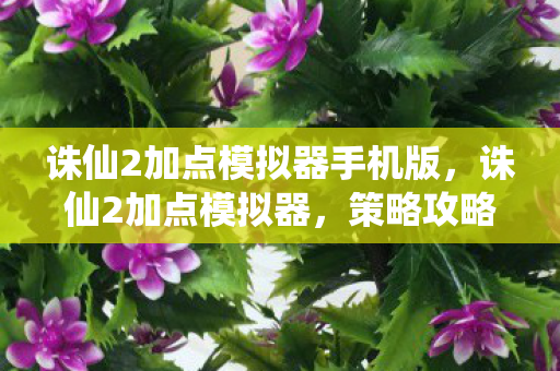 诛仙2加点模拟器手机版,诛仙2加点模拟器,策略攻略与角色成长解析 诛仙2加点模拟器手机版,诛仙2加点模拟器,策略攻略与角色成长解析