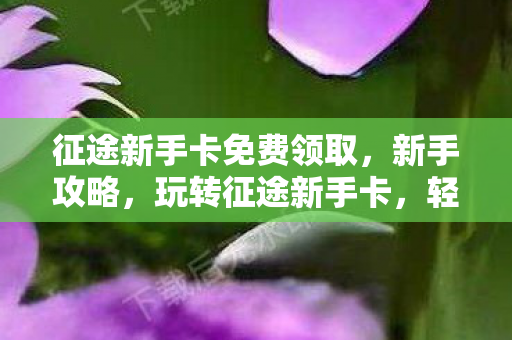 征途新手卡免费领取,新手攻略,玩转征途新手卡,轻松启程游戏之旅 征途新手卡免费领取,新手攻略,玩转征途新手卡,轻松启程游戏之旅