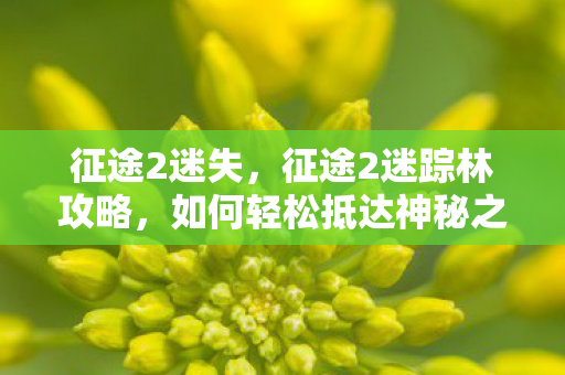 征途2迷失,征途2迷踪林攻略,如何轻松抵达神秘之地 征途2迷失,征途2迷踪林攻略,如何轻松抵达神秘之地