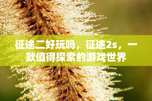 征途二好玩吗,征途2s,一款值得探索的游戏世界 征途二好玩吗,征途2s,一款值得探索的游戏世界