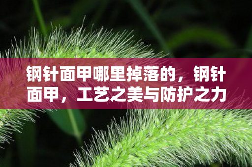 钢针面甲哪里掉落的,钢针面甲,工艺之美与防护之力 钢针面甲哪里掉落的,钢针面甲,工艺之美与防护之力