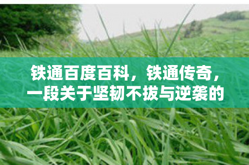 铁通百度百科,铁通传奇,一段关于坚韧不拔与逆袭的故事 铁通百度百科,铁通传奇,一段关于坚韧不拔与逆袭的故事