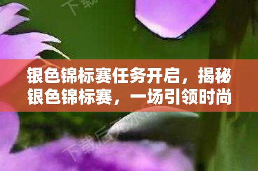 银色锦标赛任务开启,揭秘银色锦标赛,一场引领时尚潮流的盛事 银色锦标赛任务开启,揭秘银色锦标赛,一场引领时尚潮流的盛事