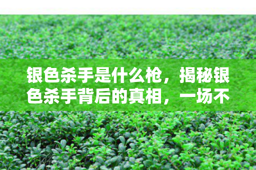 银色杀手是什么枪,揭秘银色杀手背后的真相,一场不为人知的神秘之旅 银色杀手是什么枪,揭秘银色杀手背后的真相,一场不为人知的神秘之旅