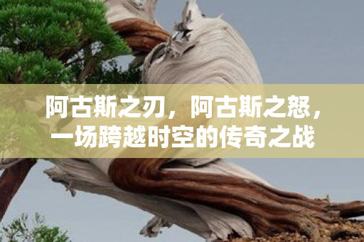 阿古斯之刃,阿古斯之怒,一场跨越时空的传奇之战 阿古斯之刃,阿古斯之怒,一场跨越时空的传奇之战