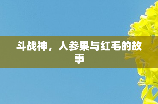 斗战神，人参果与红毛的故事