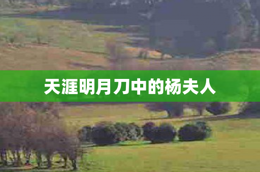 天涯明月刀中的杨夫人 天涯明月刀中的杨夫人