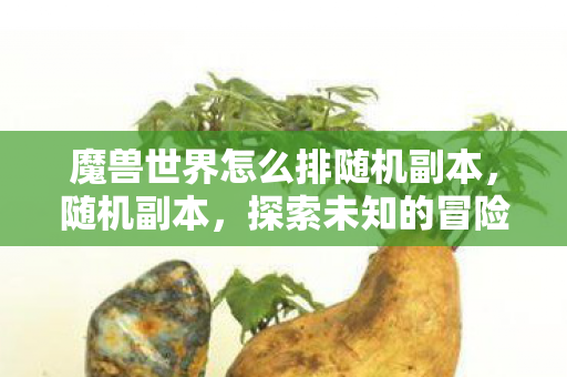 魔兽世界怎么排随机副本,随机副本,探索未知的冒险之旅 魔兽世界怎么排随机副本,随机副本,探索未知的冒险之旅