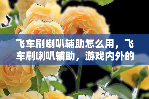 飞车刷喇叭辅助怎么用，飞车刷喇叭辅助，游戏内外的声音掌控