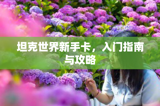 坦克世界新手卡,入门指南与攻略 坦克世界新手卡,入门指南与攻略