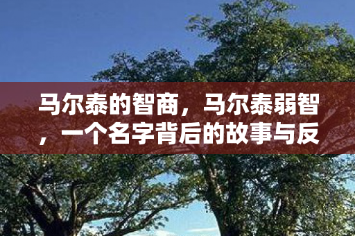 马尔泰的智商,马尔泰弱智,一个名字背后的故事与反思 马尔泰的智商,马尔泰弱智,一个名字背后的故事与反思