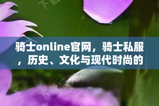 骑士online官网,骑士私服,历史、文化与现代时尚的结合 骑士online官网,骑士私服,历史、文化与现代时尚的结合