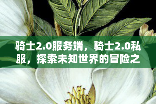 骑士2.0服务端,骑士2.0私服,探索未知世界的冒险之旅 骑士2.0服务端,骑士2.0私服,探索未知世界的冒险之旅