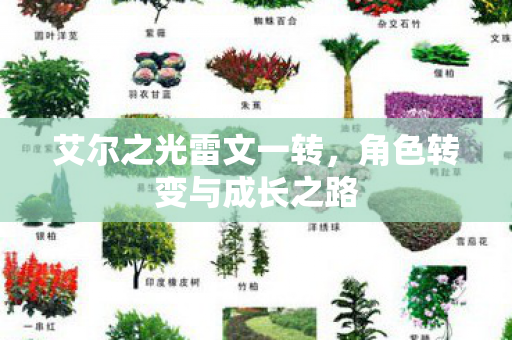 艾尔之光雷文一转，角色转变与成长之路