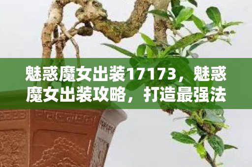 魅惑魔女出装17173，魅惑魔女出装攻略，打造最强法师装备组合