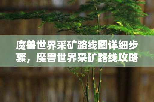 魔兽世界采矿路线图详细步骤,魔兽世界采矿路线攻略 魔兽世界采矿路线图详细步骤,魔兽世界采矿路线攻略