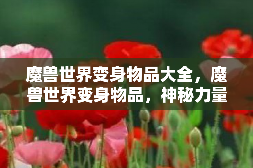魔兽世界变身物品大全,魔兽世界变身物品,神秘力量的象征与游戏乐趣的延伸 魔兽世界变身物品大全,魔兽世界变身物品,神秘力量的象征与游戏乐趣的延伸