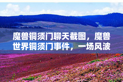 魔兽铜须门聊天截图，魔兽世界铜须门事件，一场风波背后的故事