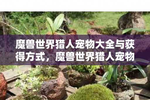 魔兽世界猎人宠物大全与获得方式,魔兽世界猎人宠物大全—你需要的所有信息汇总 魔兽世界猎人宠物大全与获得方式,魔兽世界猎人宠物大全—你需要的所有信息汇总