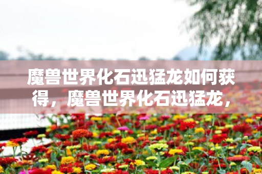 魔兽世界化石迅猛龙如何获得,魔兽世界化石迅猛龙,探寻史前巨兽的传奇之旅 魔兽世界化石迅猛龙如何获得,魔兽世界化石迅猛龙,探寻史前巨兽的传奇之旅