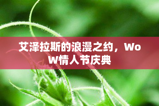 艾泽拉斯的浪漫之约,WoW情人节庆典 艾泽拉斯的浪漫之约,WoW情人节庆典
