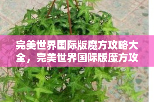 完美世界国际版魔方攻略大全,完美世界国际版魔方攻略大全 完美世界国际版魔方攻略大全,完美世界国际版魔方攻略大全