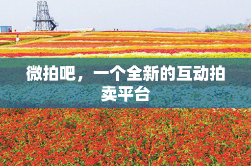 微拍吧,一个全新的互动拍卖平台 微拍吧,一个全新的互动拍卖平台