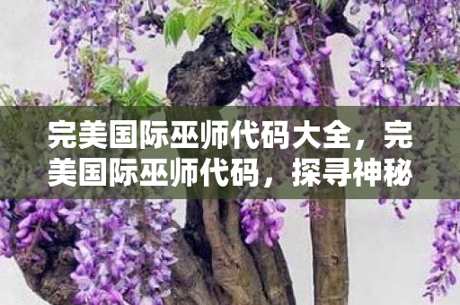 完美国际巫师代码大全，完美国际巫师代码，探寻神秘力量的秘密