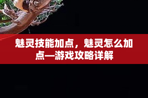 魅灵技能加点,魅灵怎么加点—游戏攻略详解 魅灵技能加点,魅灵怎么加点—游戏攻略详解