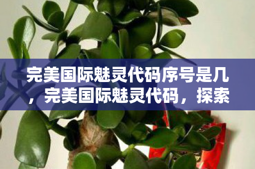 完美国际魅灵代码序号是几,完美国际魅灵代码,探索神秘力量的奇幻之旅 完美国际魅灵代码序号是几,完美国际魅灵代码,探索神秘力量的奇幻之旅