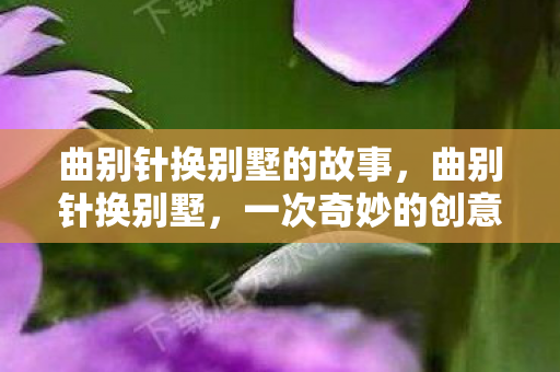 曲别针换别墅的故事,曲别针换别墅,一次奇妙的创意交换之旅 曲别针换别墅的故事,曲别针换别墅,一次奇妙的创意交换之旅
