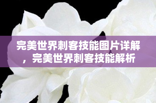 完美世界刺客技能图片详解,完美世界刺客技能解析 完美世界刺客技能图片详解,完美世界刺客技能解析