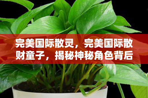 完美国际散灵,完美国际散财童子,揭秘神秘角色背后的故事 完美国际散灵,完美国际散财童子,揭秘神秘角色背后的故事