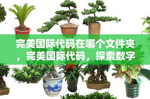 完美国际代码在哪个文件夹,完美国际代码,探索数字世界的无限可能 完美国际代码在哪个文件夹,完美国际代码,探索数字世界的无限可能