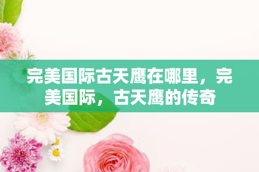 完美国际古天鹰在哪里,完美国际,古天鹰的传奇 完美国际古天鹰在哪里,完美国际,古天鹰的传奇