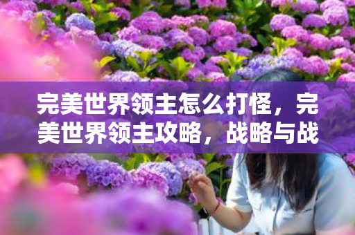 完美世界领主怎么打怪,完美世界领主攻略,战略与战术并重,成为无敌领主 完美世界领主怎么打怪,完美世界领主攻略,战略与战术并重,成为无敌领主