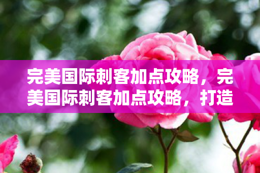 完美国际刺客加点攻略,完美国际刺客加点攻略,打造无敌角色,轻松登顶排行榜! 完美国际刺客加点攻略,完美国际刺客加点攻略,打造无敌角色,轻松登顶排行榜!