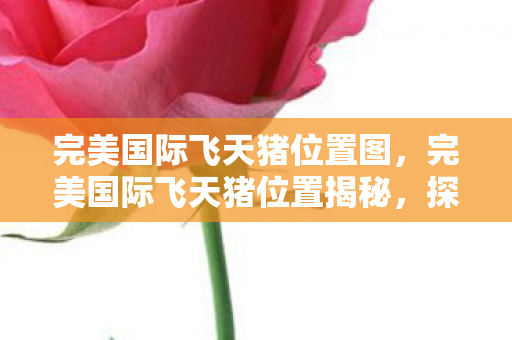 完美国际飞天猪位置图,完美国际飞天猪位置揭秘,探寻神秘宝藏的指南 完美国际飞天猪位置图,完美国际飞天猪位置揭秘,探寻神秘宝藏的指南