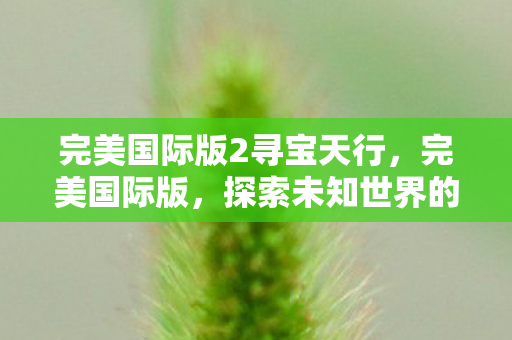 完美国际版2寻宝天行,完美国际版,探索未知世界的全新篇章 完美国际版2寻宝天行,完美国际版,探索未知世界的全新篇章