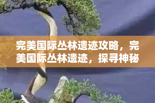 完美国际丛林遗迹攻略,完美国际丛林遗迹,探寻神秘古文明的印记 完美国际丛林遗迹攻略,完美国际丛林遗迹,探寻神秘古文明的印记