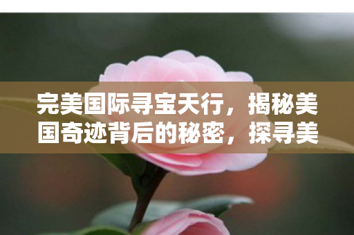 完美国际寻宝天行,揭秘美国奇迹背后的秘密,探寻美国崛起之路 完美国际寻宝天行,揭秘美国奇迹背后的秘密,探寻美国崛起之路