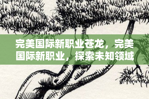 完美国际新职业苍龙，完美国际新职业，探索未知领域，引领时代潮流